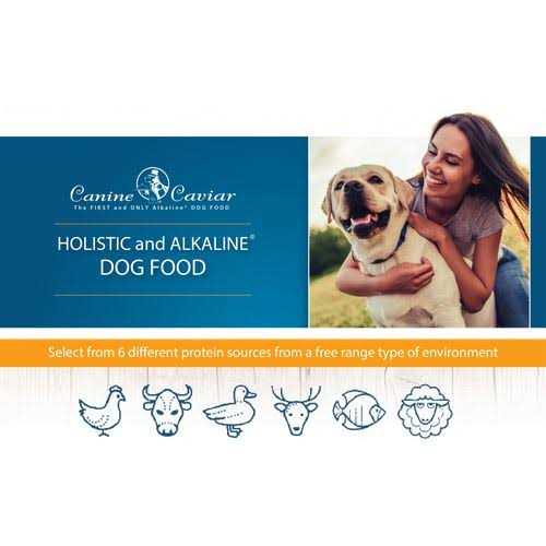 Grain-Free Dry Dog Food F910